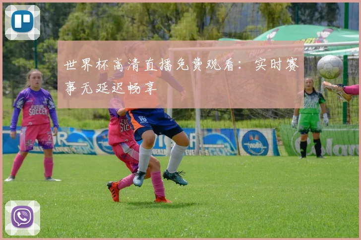 世界杯高清直播免费观看：实时赛事无延迟畅享